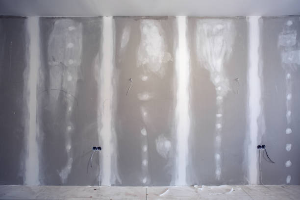 Best Drywall Sanding and Smoothing  in USA